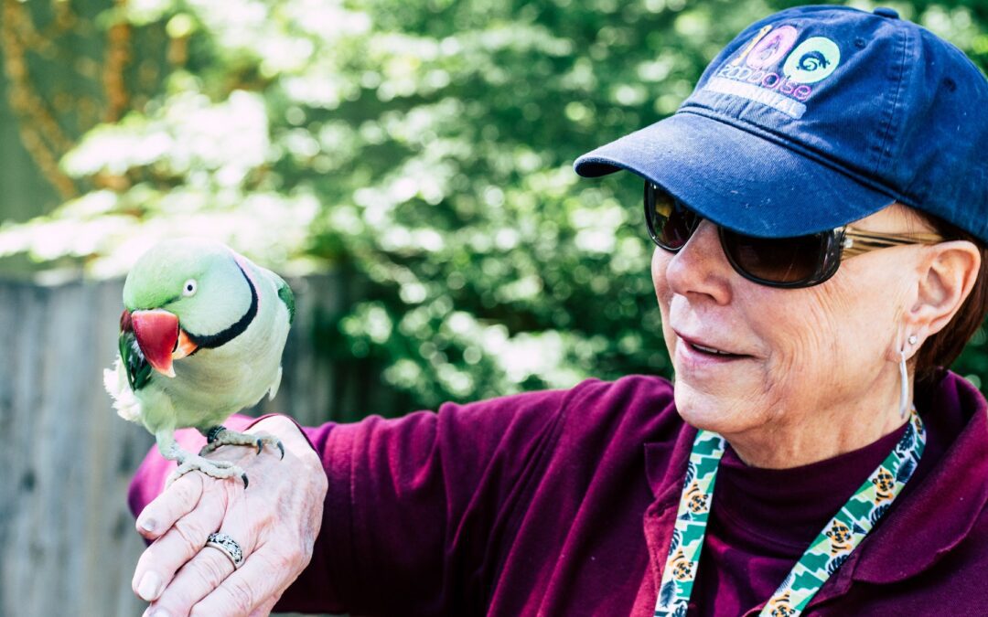 A Day in the Life of a Zookeeper